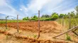 Prime Residential Plot for Sale in Kikuyu, Thigio - 2