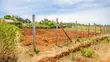 Prime Residential Plot for Sale in Kikuyu, Thigio - 4