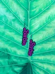 Statement Earrings - Brand New - 2