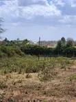 Prime 1 Acre Residential Land for Sale in Ngong-Kibiko - 2