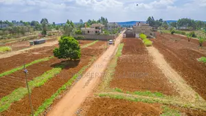 Prime Residential Plots for Sale in Kikuyu, Lusigetti