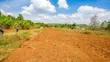 Prime Residential Plots for Sale in Kikuyu, Lusigetti - 5