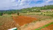 Prime Residential Plot for Sale in Kikuyu, Lussigeti - 2