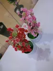Artificial Potted Plant - 1