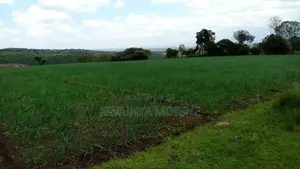 36 Acres Agricultural Land for Sale, Mweiga