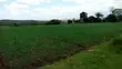 36 Acres Agricultural Land for Sale, Mweiga - 1