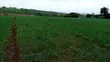 36 Acres Agricultural Land for Sale, Mweiga - 3