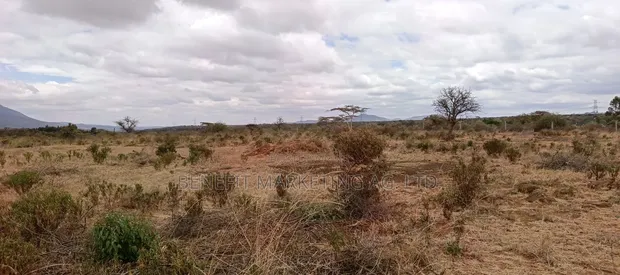 Quarter Acre Plots for Sale in Ngong Kimuka - 1