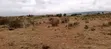 Quarter Acre Plots for Sale in Ngong Kimuka - 5