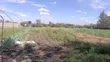Ekari 5 za Kuuzwa Kitengela, 700m kutoka Tarmac - 1