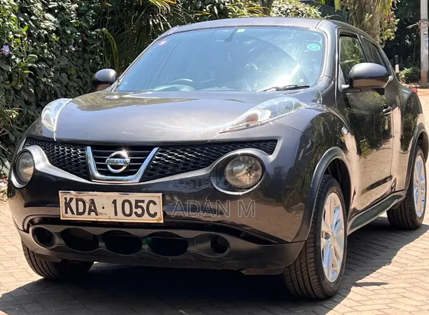 Nissan Juke 2013 Gray - 1