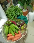 Huduma ya Ununuzi wa Mboga na Vyakula Safi - 4