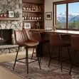 Modern Non-Adjustable Bar Stool with Backrest & Footrest - 1