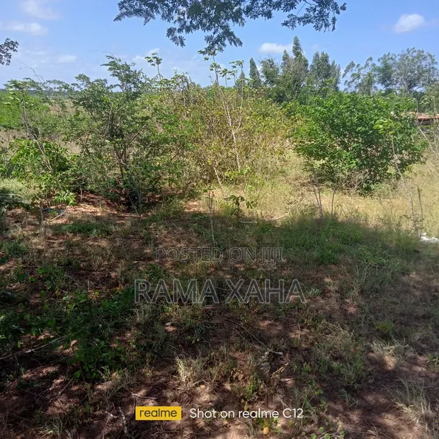 10 Acres for Sale in Girimacha, Sosobora Area - 1