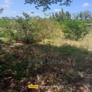 10 Acres for Sale in Girimacha, Sosobora Area
