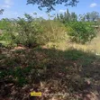 10 Acres for Sale in Girimacha, Sosobora Area - 1