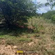 10 Acres for Sale in Girimacha, Sosobora Area - 2