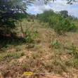 10 Acres for Sale in Girimacha, Sosobora Area - 3