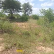 10 Acres for Sale in Girimacha, Sosobora Area - 4