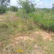 10 Acres for Sale in Girimacha, Sosobora Area - 5