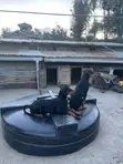 Purebred Doberman Pinscher Puppy (3-6 Months) - 2