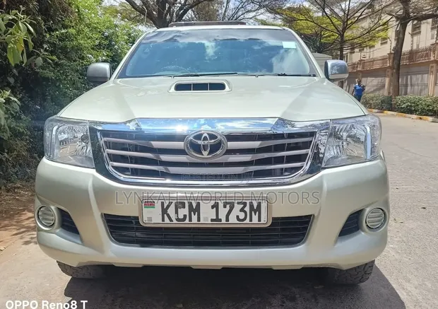 Toyota Hilux Double Cab 2010 - 1
