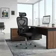 Orthopedic Ergonomic High Reclining Office Chair - 5