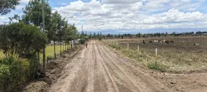 Nakuru Pipeline JB 50x100 Plots for Sale