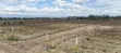 Nakuru Pipeline JB 50x100 Plots for Sale - 2