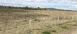 Nakuru Pipeline JB 50x100 Plots for Sale - 5