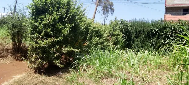 Half Acre Plot for Sale - Githiga-Gatitu Road - 1