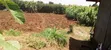 Half Acre Plot for Sale - Githiga-Gatitu Road - 2