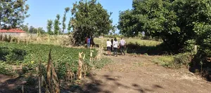 Viwanja vya Mang'u Mastoo, Nakuru 50x100 kwa Mauzo