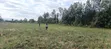 Viwanja vya Mang'u Mastoo, Nakuru 50x100 kwa Mauzo - 4