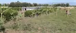 Mang'u Mastoo Nakuru 50x100 Plot - 2