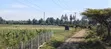 Mang'u Mastoo Nakuru 50x100 Plot - 4