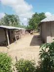5 Acres Farmland for Sale, Witu, Lamu - 1