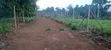 Kikuyu Residential Plots for Sale (Kerwa) - 2