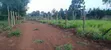 Kikuyu Residential Plots for Sale (Kerwa) - 4