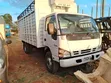 Isuzu NPR Rigid Truck - 1