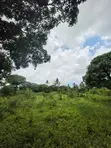 Malindi Kizingo 4 Acres Land for Sale - 2