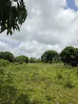 Malindi Kizingo 4 Acres Land for Sale - 3