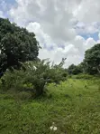 Malindi Kizingo 4 Acres Land for Sale - 4