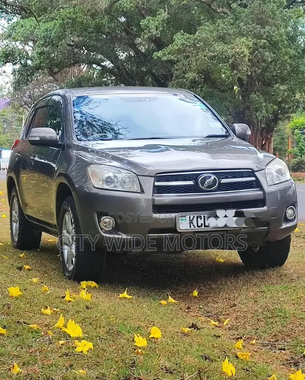 Toyota RAV4 2010 Gray - 1