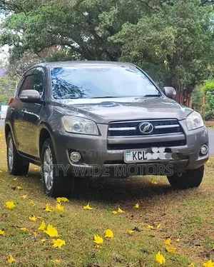 Toyota RAV4 2010 Gray