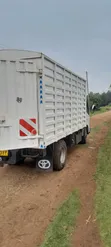 Transport and Logistics Services - 3
