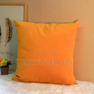 Brand New Throw Pillows - Home Interiors