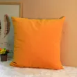 Brand New Throw Pillows - Home Interiors - 1
