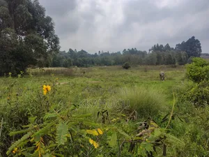 Eneo la 50x100 Karai Kikuyu Huru lenye Hati Miliki