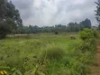 Eneo la 50x100 Karai Kikuyu Huru lenye Hati Miliki - 3